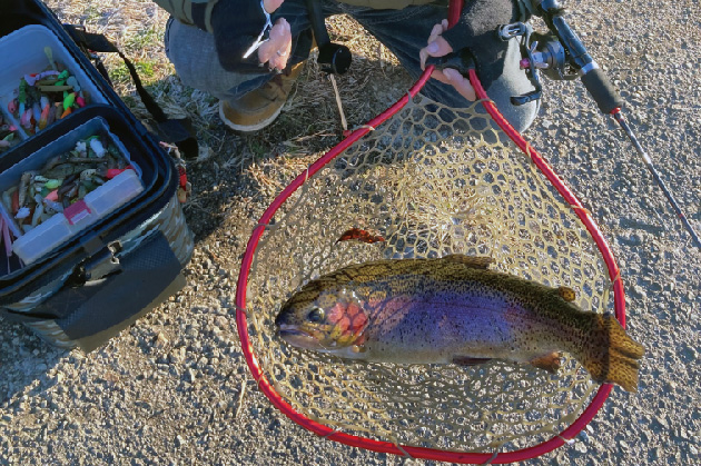 ルアーフライ専用池"