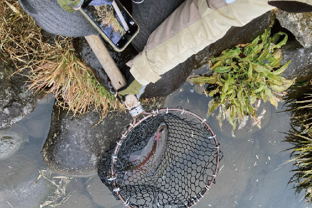 ルアーフライ専用池"