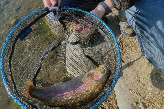 ルアーフライ専用池"